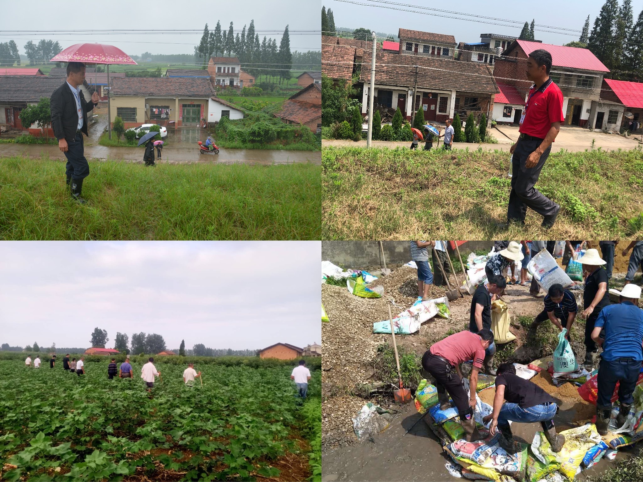 【防汛抗灾 村干部在行动】沅江市泗湖山镇:记录一线防洪大堤最美的