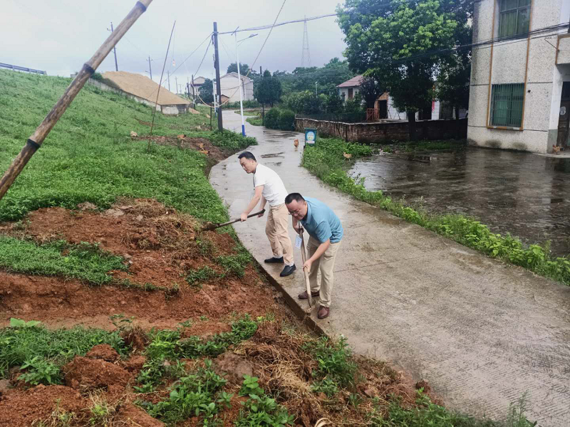 沙头镇:"第一书记"留下最美身影 - 益阳党建网