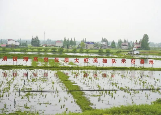 致富经养殖虾_致富经室内养虾视频_致富经养虾